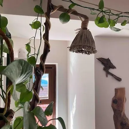 Appartamento Cosy Flat In Center